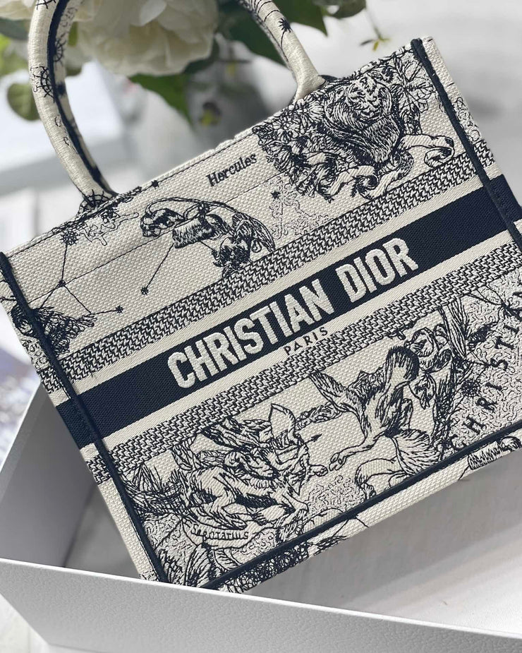 DIOR BOOK TOTE